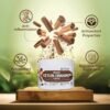 15.1-1.jpg ORGANIC FIELDS Organic Ceylon Cinnamon Powder
